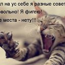 ���� ������, �������, 40 ��� - ��������� 13 ������� 2009 � ������ ����������� ��������, ������� ����������
