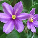 ���� ������, ����������� - ��������� 9 ��� 2010 � ������ ���� ������