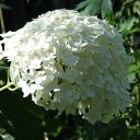  Lakostia, , 45  -  2  2011   (( !!    !! ))