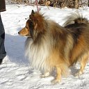 ���� ����, ������, 58 ��� - ��������� 17 ������� 2012 � ������ ���� ����������