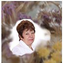 ���� ����, ��������, 72 ���� - ��������� 4 ��� 2013 � ������ ���� ����������