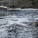 ���� ������, �����-���������, 61 ��� - ��������� 24 ������� 2013 � ������ ���� ����������