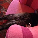 ���� �������, �����-���������, 61 ��� - ��������� 17 ���� 2010 � ������ ���� �����