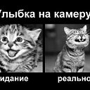  ,   -  12  2012   