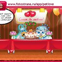  , , 41  -  22  2010   PetLove
