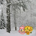 ���� ����, ���, 31 ��� - ��������� 13 ������� 2012 � ������ �...(��� �����)...�