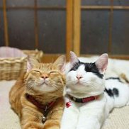 ������, 25 ���, ������