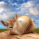 ���� �����, ����������, 33 ���� - ��������� 24 ���� 2013