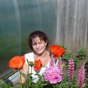 ���� T������, ���������, 52 ���� - ��������� 3 ���� 2012 � ������ ���� ����������