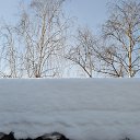 ���� Igor, ������, 47 ��� - ��������� 28 ������ 2013 � ������ ���� ����������