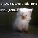 ���� �������, �������, 48 ��� - ��������� 7 ������ 2012 � ������ �������