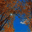 ���� �����, ����, 62 ���� - ��������� 1 ���� 2012 � ������ ���� ����������