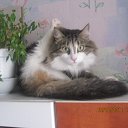 ���� ��� ����))) �� ������� ���� ����������