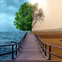 ���� Regina, ����, 86 ��� - ��������� 28 ������� 2012