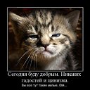 ���� ������������������������������������������������������������������, ��������, 39 ��� - ��������� 10 ���� 2010 � ������ ����ݻ