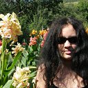  , , 33  -  15  2009   . .  