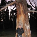 ���� ����, ����, 39 ��� - ��������� 5 ����� 2011 � ������ ���� ����������