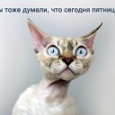  ,  -  17  2012   