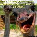  , , 46  -  1  2010    )))))))))))))