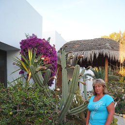 ���� ������, �����-���������, 64 ���� - ��������� 21 ���� 2013