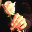 ���� ���, ������, 44 ���� - ��������� 12 ���� 2012