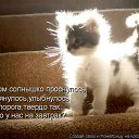 ���� �����, ������ - ��������� 26 ������� 2011 � ������ ���� ����������