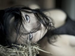 ���������, �������, 46 ���