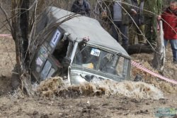 Den, ����������, 50 ���