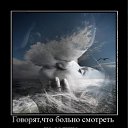 ���� �������, ������ - ��������� 6 ������ 2012 � ������ ���� ����������