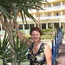  , -, 71  -  31  2013    2013