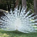 ������-������ �� ������� ���� ����������