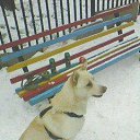 Facebook thePo.st :: 
��������� www.thePo.st :: �� ������� ���� ���� ������