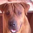 ���� ����, ������-��-����, 85 ��� - ��������� 29 ������� 2012 � ������ ���������� ������