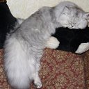 ���� Katkas, �������, 45 ��� - ��������� 5 ������ 2009 � ������ ����������