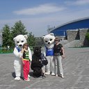 ���� ������, ��������� - ��������� 7 ���� 2013 � ������ ���� ����������