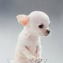 ���� &bull;&deg;&bull;&bull;���&bull;&deg;&bull;&bull;, �������, 24 ���� - ��������� 29 ���� 2012 � ������ ��������