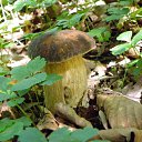 ���� ������, �����������, 65 ��� - ��������� 26 �������� 2011 � ������ �������� � �!�