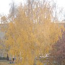 ���� �������, �������, 38 ��� - ��������� 11 ��� 2010 � ������ ���� ����� ����� �������