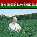  , , 56  -  30  2010   ...