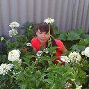  Oksana,  -  11  2012    