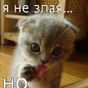 ���� �������, �������� - ��������� 13 ������� 2011 � ������ �������