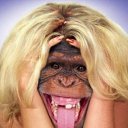 ���� �������!, �������������, 42 ���� - ��������� 1 ������ 2013 � ������ ���� ����������