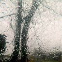  Lelis,  -  6  2011     ۻ