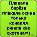 ���� ����, ���� - ��������� 20 ������ 2013 � ������ ���� ����������