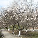 ���� ���� ����, ����������, 50 ��� - ��������� 19 ����� 2010 � ������ ��������� ������!�