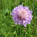 ���� �������, ��������, 37 ��� - ��������� 2 ������ 2009 � ������ ������ � �����