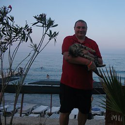 �����, ������, 56 ���