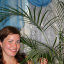 ���� ��������, ���������, 41 ��� - ��������� 1 ���� 2011 � ������ ���� ����������