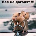  Lika_magistr, , 51  -  10  2009     ....