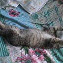 ���� ���������, ������, 42 ���� - ��������� 16 ���� 2013